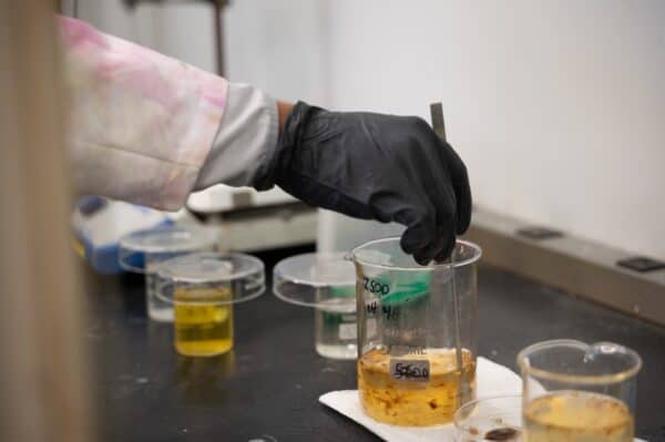 Cutting Edge E-Textile Applications